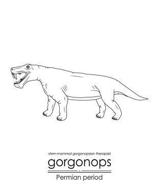 Gorgonops, Permiyen dönemi tarih öncesi bir kök memeli Gorgonopsian terapisti, siyah-beyaz çizgi sanatı. Renklendirme ve eğitim amaçlı mükemmel