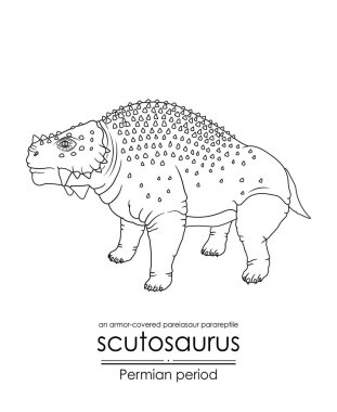 Scutosaurus, bir Permian dönemi tarih öncesi zırh kaplı pareiasaur parareptil, siyah beyaz çizgi sanatı. Renklendirme ve eğitim amaçlı mükemmel.