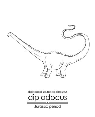 Diplodocus, bir Jura dönemi diplodocid Sauropod dinozoru. Uzun boyun ve kuyruğuyla karakterize edilen otobur yaratık. Siyah ve beyaz çizgi sanatı, renklendirme ve eğitim için mükemmel..
