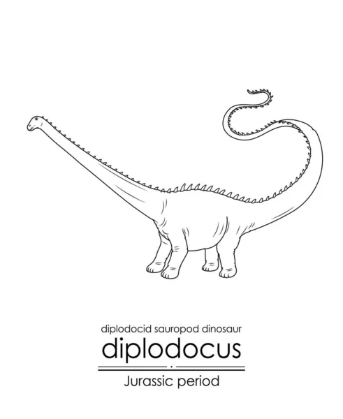 Diplodocus Een Jurassic Periode Diplodocid Sauropod Dinosaurus Herbivoren Wezen Gekenmerkt — Stockvector