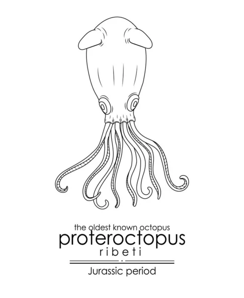 쥬라기 시대에서 오래된 알려진 Proteroctopus Ribeti 검은색과 목적으로 완벽한 — 스톡 벡터