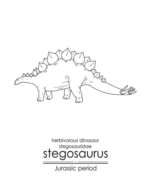 Stegosaurus Herbivore Dinosaure Blindé Période Jurassique Art Ligne Noir Blanc — Image vectorielle