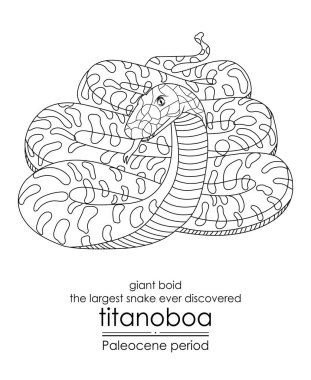 Keşfedilmiş en büyük yılan olan Titanoboa, dev bir vücut, Paleosen döneminde ortaya çıktı. Bu dönem dinozorların neslinin tükenmesini izledi. Siyah ve beyaz çizgi sanatı, renklendirme ve eğitim için mükemmel..