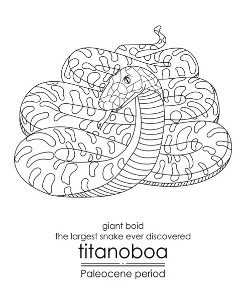 발견되었는데 거대한 보트인 타이타노보아 Titanoboa 팔레오세 시대에 나타났습니다 시기는 공룡의 — 스톡 벡터