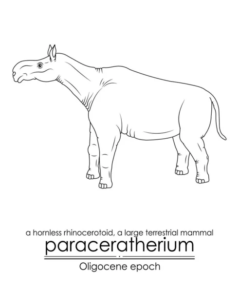 Paraceratherium Hornlös Noshörning Ett Stort Landlevande Däggdjur Från Oligocen Epok — Stock vektor