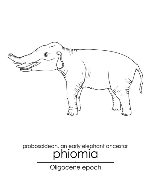피피아미아는 코뼈와 트렁크가 오리고세 시대의 코끼리 조상입니다 검은색과 목적으로 완벽한 — 스톡 벡터