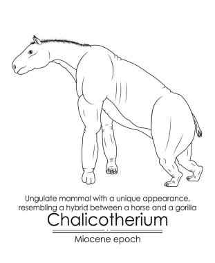 Chalicotherium, eşsiz görünümlü Ungulate memelisi, Miocene çağından bir gorille at arasındaki melezi andırıyor. Siyah ve beyaz çizgi sanatı, renklendirme ve eğitim için mükemmel..