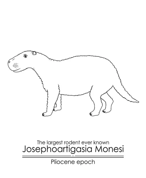 Den Största Gnagare Någonsin Känt Josephoartigasia Monesi Från Pliocen Epok — Stock vektor