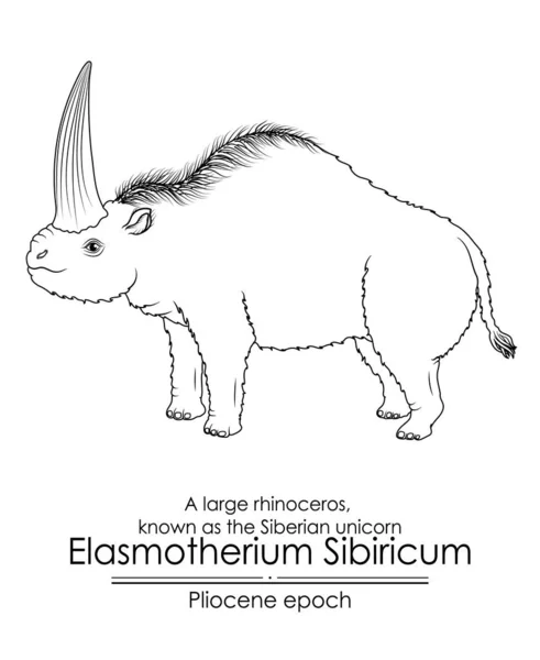 플리오세 시대의 시베리아 유니콘 Elasmotherium Sibiricum으로 알려진 코뿔소 검은색과 목적으로 — 스톡 벡터