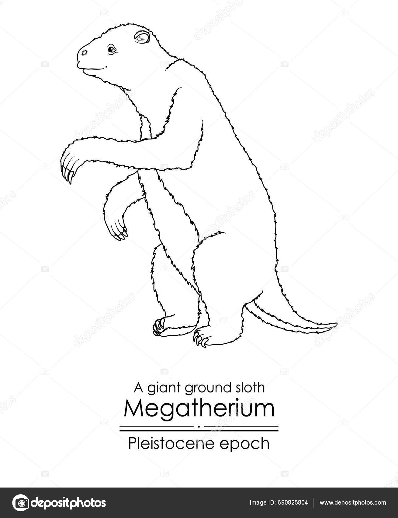 Giant Ground Sloth Megatherium Pleistocene Epoch Black White Line Art