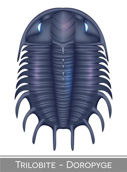 Trilobite Doropyge Colorida Ilustración Una Criatura Época Cámbrica Ilustraciones de stock libres de derechos