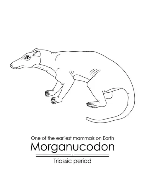 Morganukodon Ett Tidigaste Däggdjuren Jorden Och Förfader Till Alla Däggdjur — Stock vektor