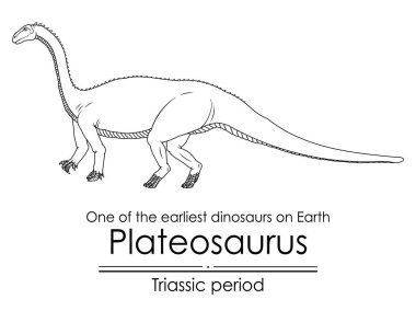 Dünyanın en eski dinozorlarından biri olan Plateosaurus, Triyas döneminde ortaya çıktı. Siyah ve beyaz çizgi sanatı, renklendirme ve eğitim için mükemmel..