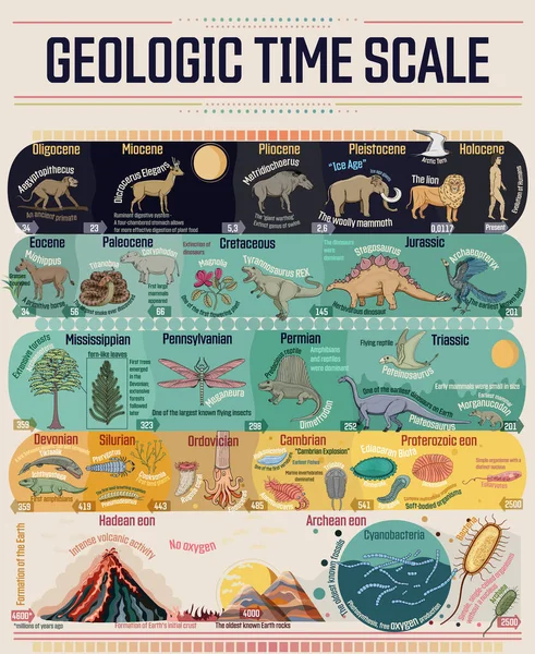 Geologisk Tidsskala Färgglada Pedagogiska Affisch Från Jordens Bildande Till Den — Stock vektor