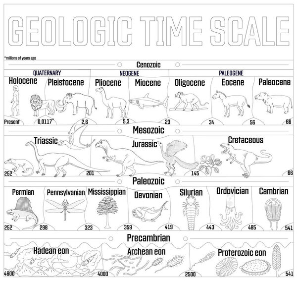 Geologic time scale black and white line art illustration.  From Hadean to Holocene, animal evolution.