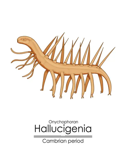Hallucigenia Une Créature Cambrienne Époque Illustration Colorée Sur Fond Blanc — Image vectorielle
