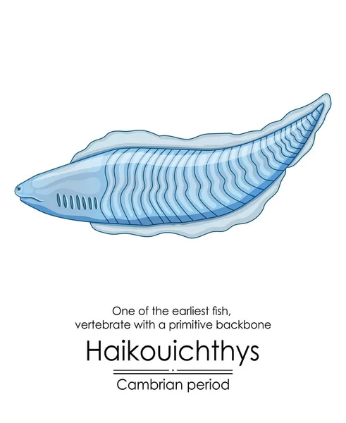 하이커우는 물고기 하나로 알려져 있으며 간단한 등뼈를 하나입니다 그것은 캄브리아 — 스톡 벡터