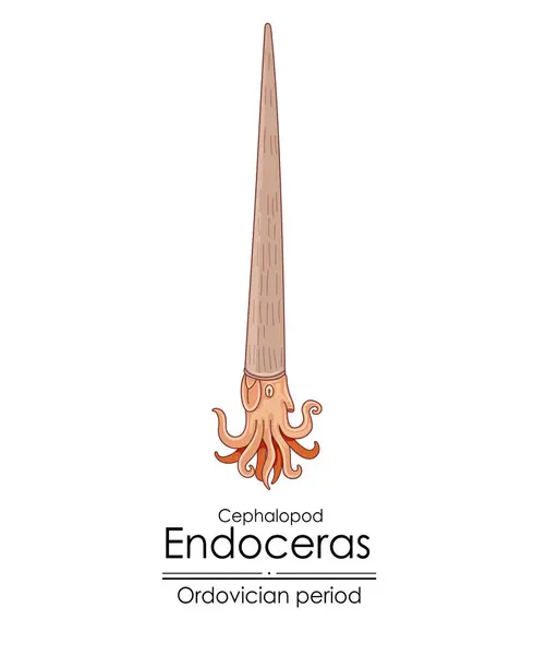 Endoceras Ordoviciansk Period Bläckfisk Färgglad Illustration Vit Bakgrund — Stock vektor