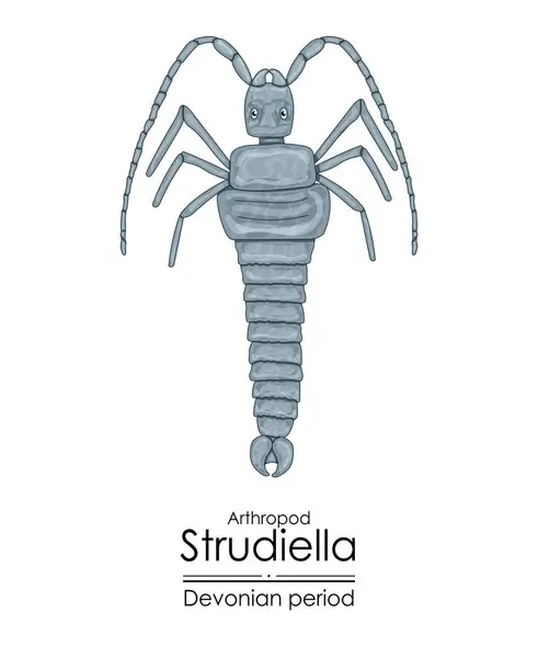Strudiella Artrópodo Del Período Devónico Pero Posible Insecto Ilustración Colorida Gráficos vectoriales