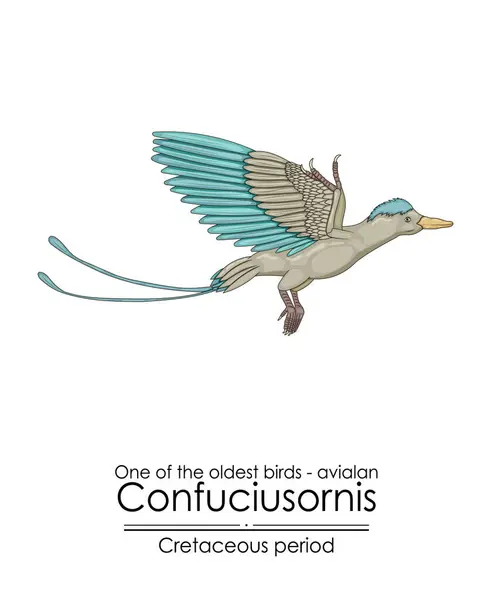 Uma Das Aves Mais Antigas Terra Avialan Confuciusornis Início Período —  Vetores de Stock