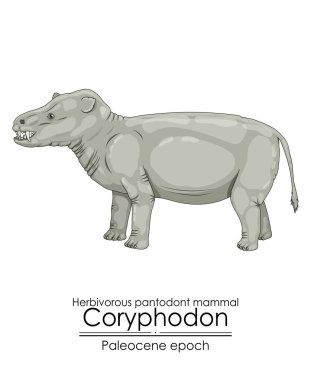 İlk memelilerden biri, pantodon Coryphodon, Paleoscene döneminden bir yaratıktı.