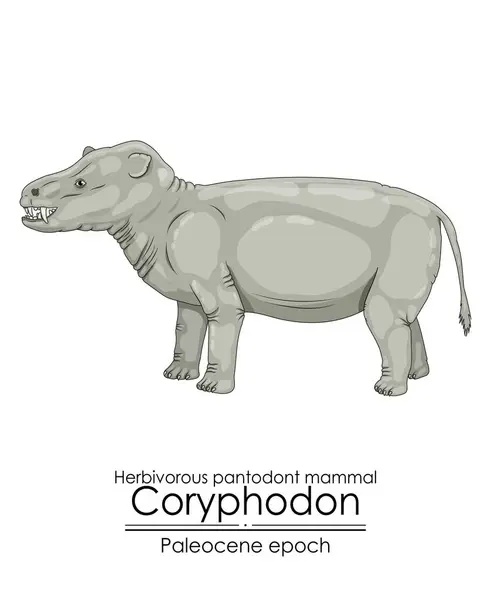 Dos Primeiros Mamíferos Pantodonte Coryphodon Foi Uma Criatura Período Paleoceno —  Vetores de Stock