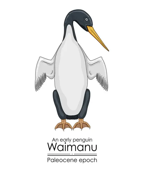 Waimanu Tidig Pingvin Från Paleocenepoken Vektorgrafik