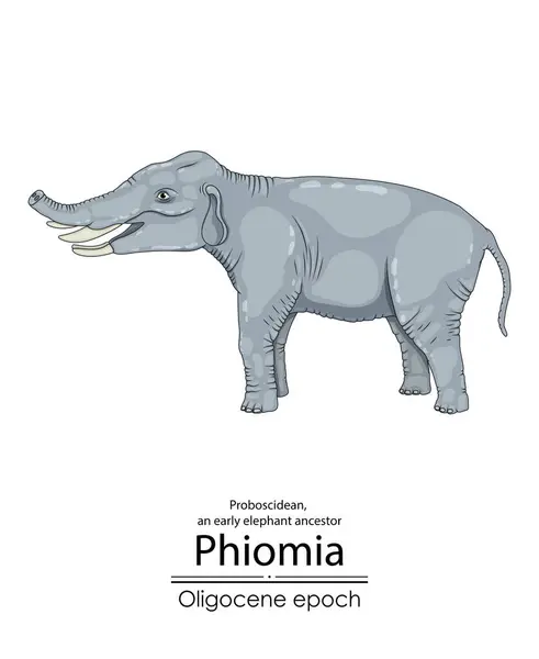 Phiomia Tidig Elefantförfader Från Oligocen Epoken Med Näsben Och Mycket Royaltyfria Stockvektorer