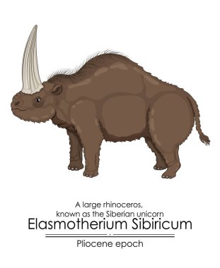 A large rhinoceros, known as the Siberian unicorn Elasmotherium Sibiricum from Pliocene epoch. clipart