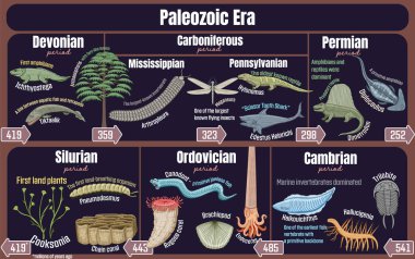 Paleozoic Era: Geological timeline spanning from the Cambrian to Permian period. clipart