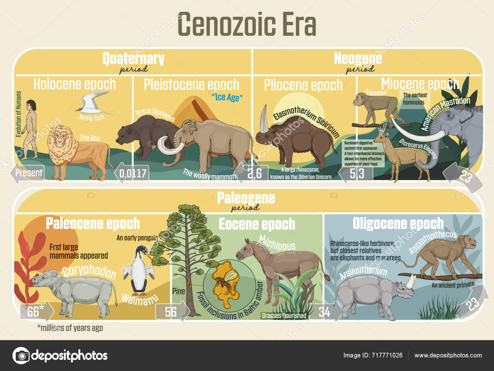 Cenozoic Era Geological Timeline Spanning Paleocene Epoch Holocene Epoch  Stock Vector by ©megija 717771026, image size:1600x1201