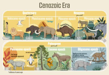 Cenozoic Era: Geological timeline spanning from the Paleocene Epoch to Holocene Epoch.  clipart