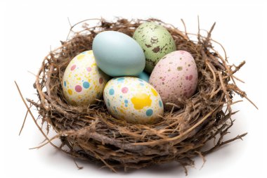 Colorful easter eggs in a nest, isolated on white background. Easter concept.