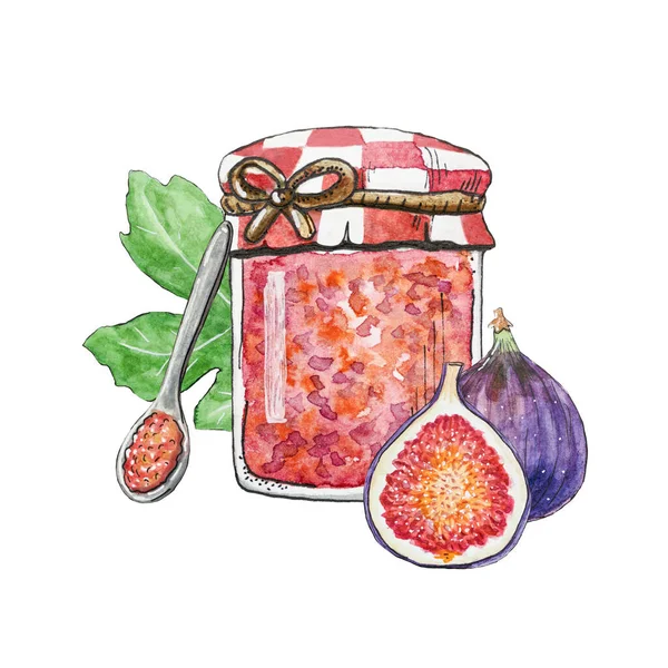 Glass jar with figs jam and ripe figs. Purple cut fig with seeds near glass jar of delicious fig jam, spoon full jam. Figs isolated on white background, food illustration hand drawn