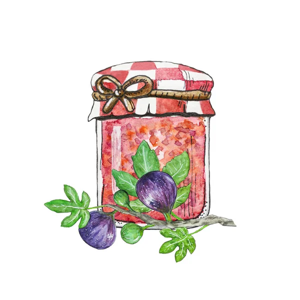 Glass jar with figs jam and ripe figs. Purple figs at fig branch with leaves with seeds near glass jar of delicious fig jam . Figs isolated on white background, food illustration hand drawn