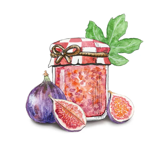 Glass jar with figs jam and ripe figs. Purple whole fig, half and quarter near glass jar of delicious fig jam or marmalade. Figs isolated on white background, food illustration hand drawn