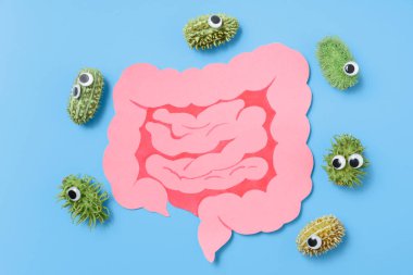 Decorative intestine and harmful bacteria outside the intestine. Concept of probiotics and prebiotics for the microbiome, intestinal check-up for cancer, top view clipart
