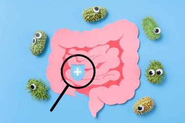 Decorative intestine and magnifying glass. The concept of probiotics and prebiotics for the microbiome and protection intestine from bad bacteria, intestinal check-up for cancer, top view clipart