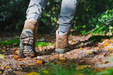 Unrecognizable male traveller or hiker walking in the forest and climbing on hill. Closeup hiking boots from the back side
