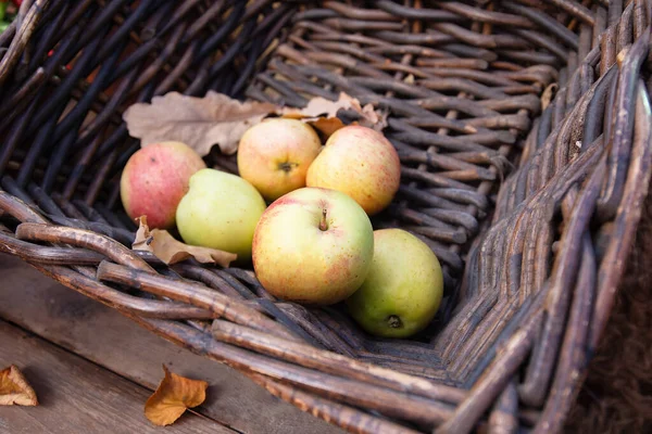 Basket with apples from a local producer. Support for local farms, sustainable fruits, apple harvest