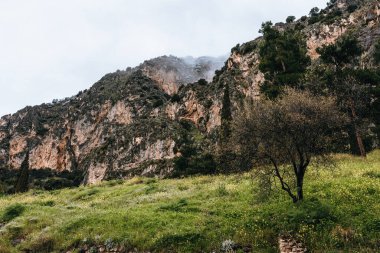 Görkemli dağlar, yeşilliklerle kaplı dağ yamacı. Dramatik, karamsar manzara, seyahat yolculuğu