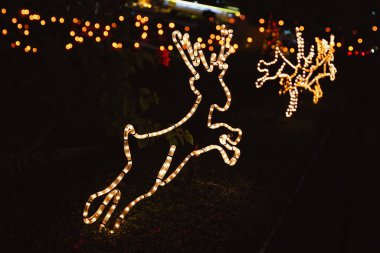 Komik, parıldayan Noel geyikleri, Noel ışıkları gece şehir dekorasyonu, şenlik havası.
