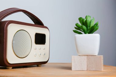 Ahşap bloklara tünemiş yemyeşil sulu bir bitkinin yanında klasik tarzda bir radyo ahşap bir masa üzerinde teknoloji ve doğanın uyumlu bir karışımını yaratır..