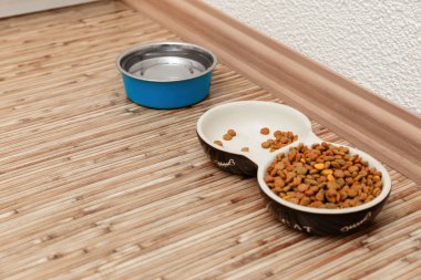 Bir çift kedi besleme kasesi, bir tane su için ve bir tane de kuru yemek için, kedi arkadaş, evcil hayvan besleme zamanı.