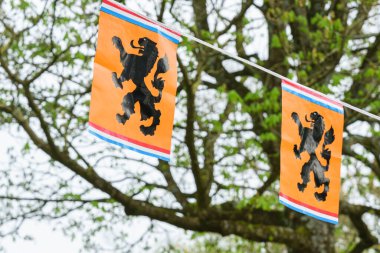 Ağaçların arasında asılı duran turuncu bayraklar, Hollanda bayramını kutluyorlar, Kraliyet arması - Hollanda, Amsterdam, 27.04.2023