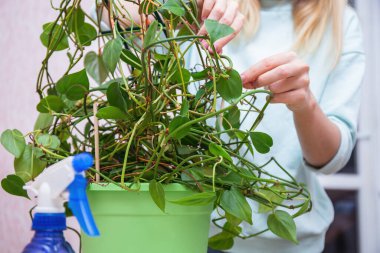 Roma rakamlarının asılı olduğu antika saat açık havada bir duvarda, zamanı gösteriyor.