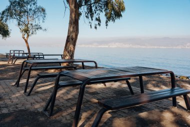 Sessiz bir parkta boş piknik masaları, ağaçlarla gölgelenmiş, uzak dağları ve şehir silüeti olan sakin bir deniz suyuna bakıyor.