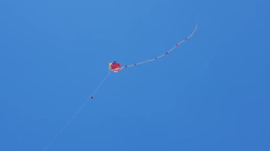 Kırmızı uğur böceği şeklinde uçurtma sürükleniyor, sallanıyor ve ipini parlak mavi gökyüzüne doğru çekiyor.