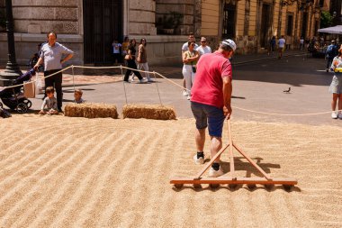 Çocuklar Fiesta del Arroz, Hasat ayini, halka açık etkinlik sırasında saman balyalarının yanında otururken erkekler kuru pirinci paralel hatlara ayırıyor - İspanya, Valencia, 05.06.2023