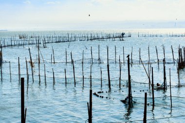 Direkler ve ağlardan oluşan bir ağ, sularda kabuklu deniz ürünleri, kabuklu deniz ürünleri, kabuklu deniz ürünleri, deniz ürünleri ve deniz ürünleri üretimi oluşturur.